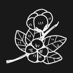 plant doodle N229