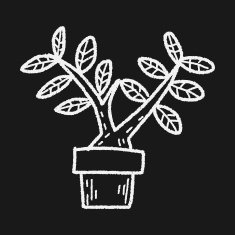 plant doodle N239