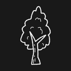 plant doodle N247