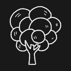 plant doodle N254