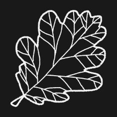 plant doodle N273
