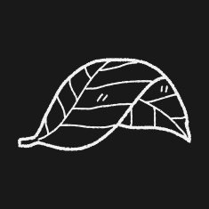 plant doodle N274