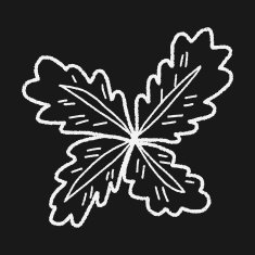 plant doodle N276