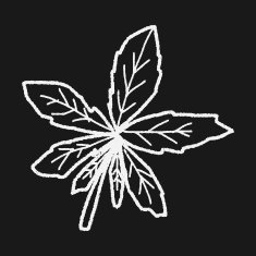 plant doodle N282