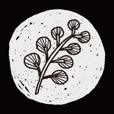 plant doodle N296