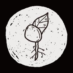 plant doodle N298