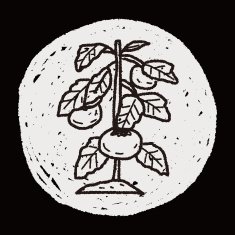 plant doodle N304
