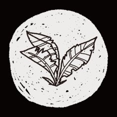 plant doodle N323