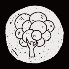 plant doodle N324