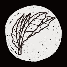 plant doodle N333