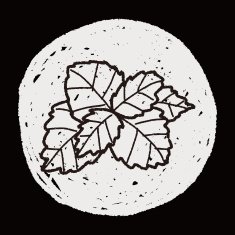 plant doodle N335