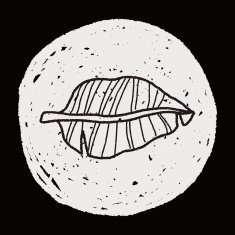plant doodle N342