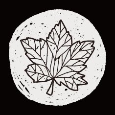plant doodle N343
