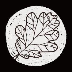 plant doodle N344