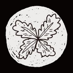 plant doodle N347