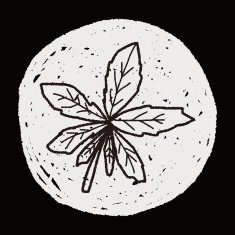 plant doodle N353