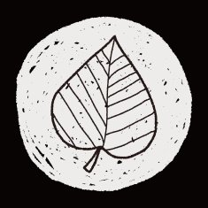 plant doodle N354