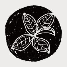 plant doodle N358