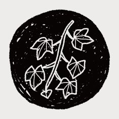 plant doodle N359