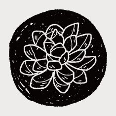 plant doodle N361