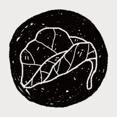 plant doodle N364