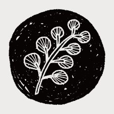 plant doodle N367