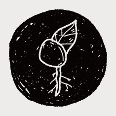 plant doodle N369