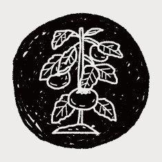 plant doodle N375