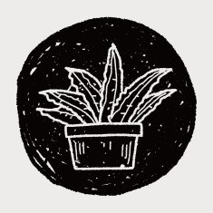 plant doodle N376