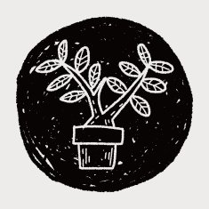 plant doodle N380