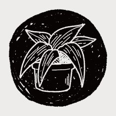 plant doodle N382