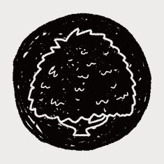 plant doodle N391