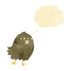 funny cartoon bird with thought bubble N8