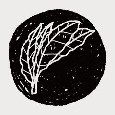 plant doodle N404