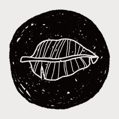 plant doodle N413