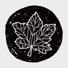 plant doodle N414