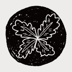 plant doodle N418