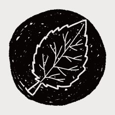 plant doodle N421
