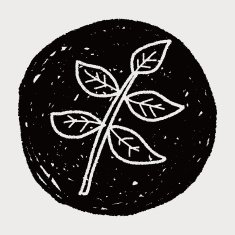 plant doodle N422