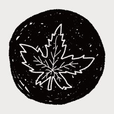 plant doodle N423