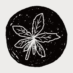 plant doodle N424