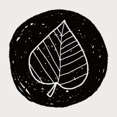 plant doodle N425