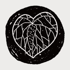 plant doodle N426