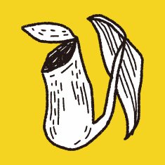 plant doodle N434