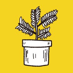 plant doodle N436
