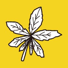 plant doodle N489