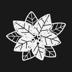 poinsettia doodle N9