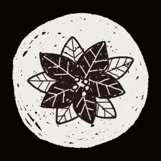 poinsettia doodle N11