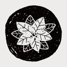 poinsettia doodle N13