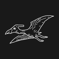 Pterodactyl dinosaur doodle N6